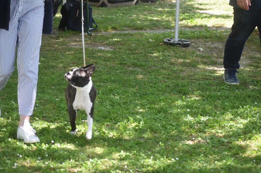  Prada NDS Aigrefeuille 18.05.2025: 1ère exc: CACS